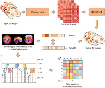 Multi-scale asynchronous correlation and 2D convolutional autoencoder for adolescent health risk prediction with limited fMRI data